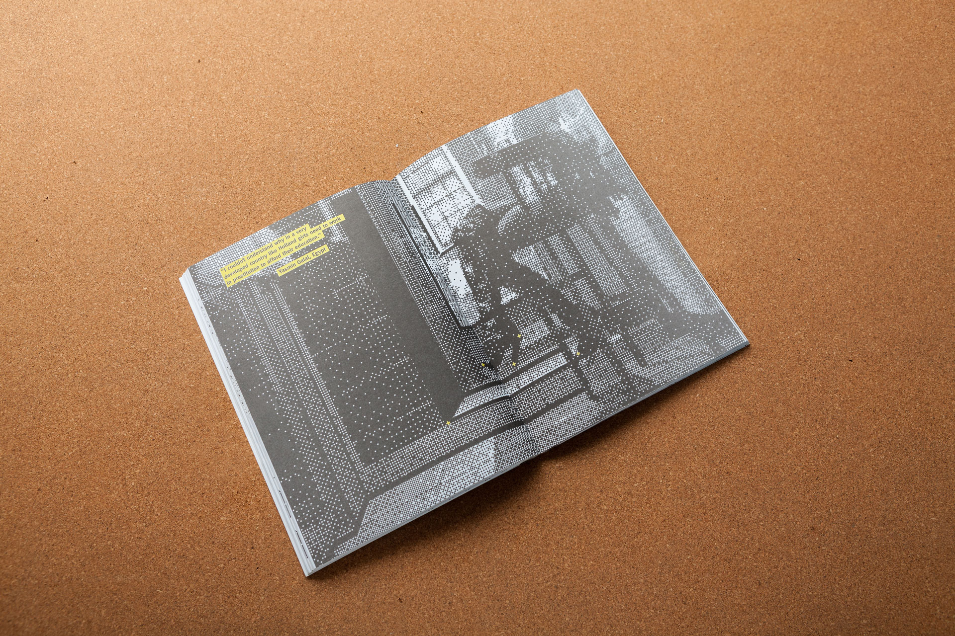 Image displaying an inside spread of the Connecting Identities publication.
